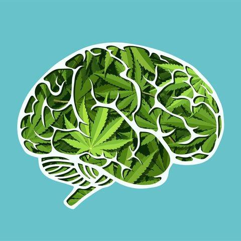 марихуана воздействие на мозг