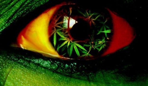 Вред марихуаны часто недооценивают в обществе - Рехаб